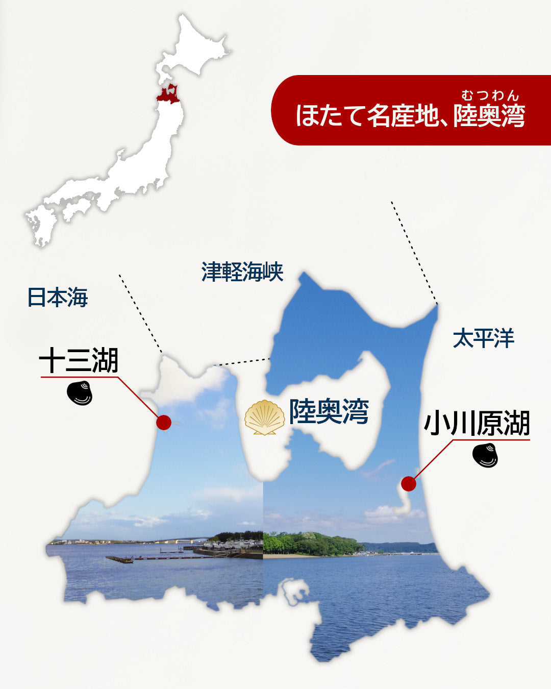 📌青森ほたて