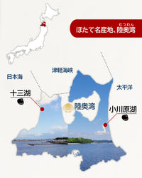 青森ほたて