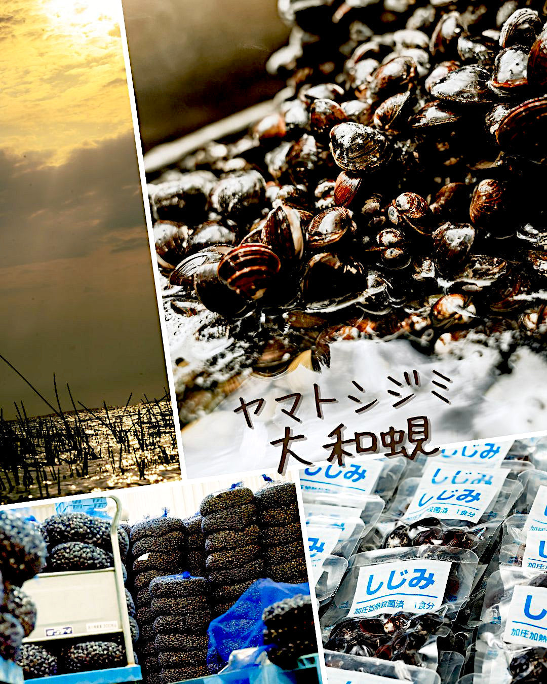 「大和しじみ汁」という名称を、あらためて。