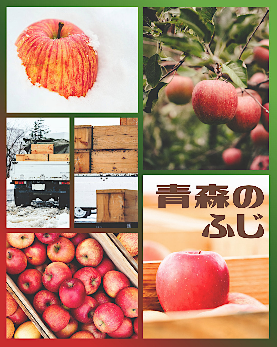 ふじりんごの「ふじ」って？