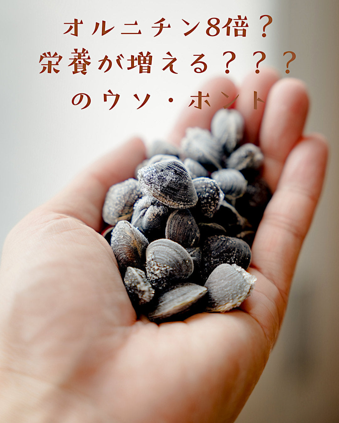 📌「オルニチン8倍」「栄養が増える」のウソ・ホント