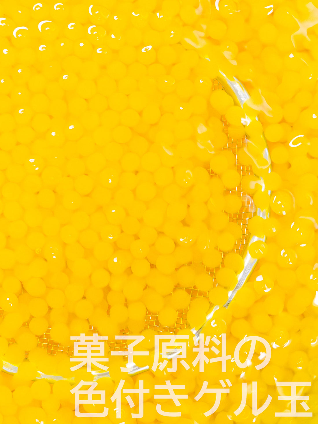 人工いくらへの取り組み