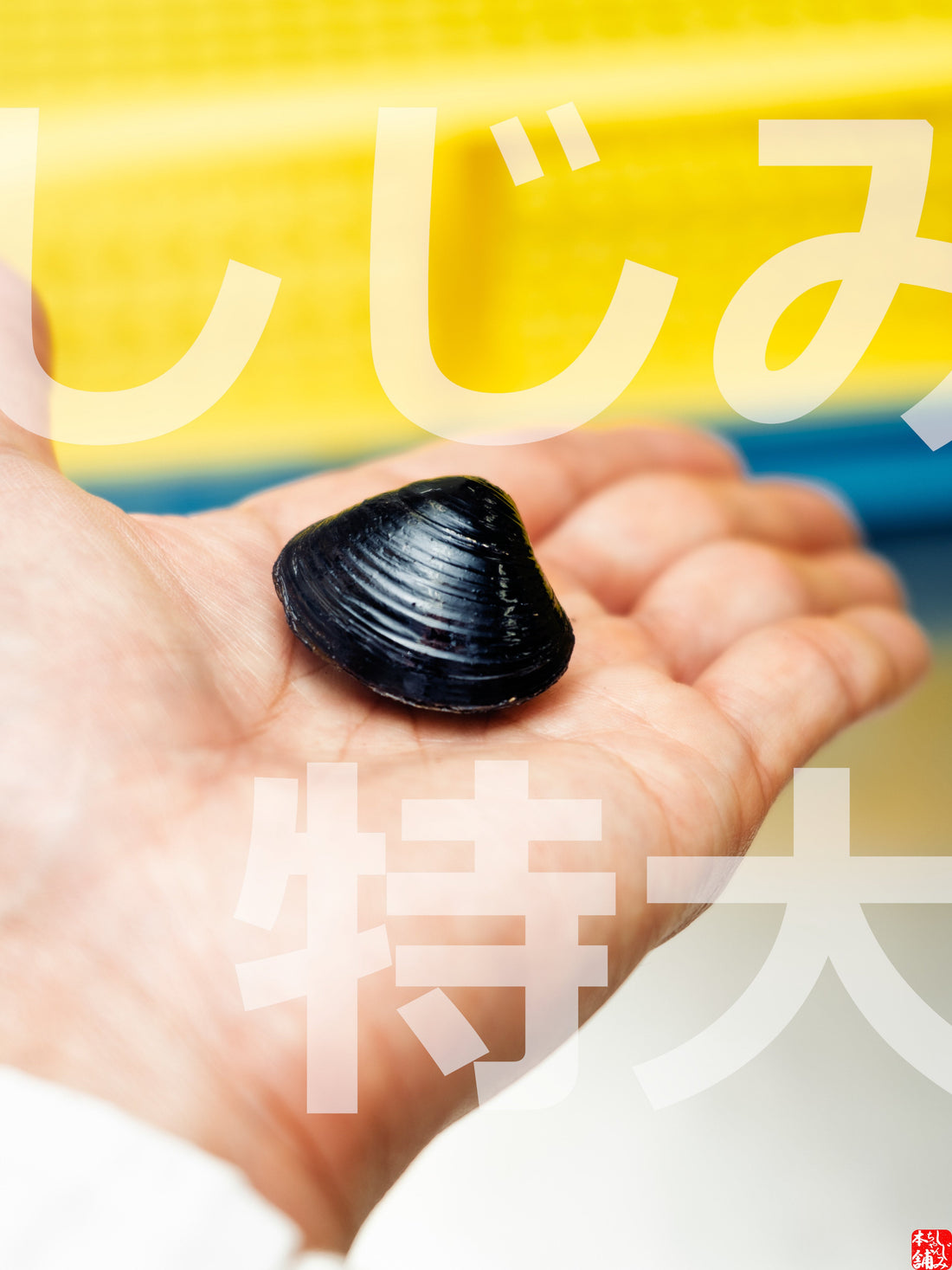 特大しじみのずっしり感