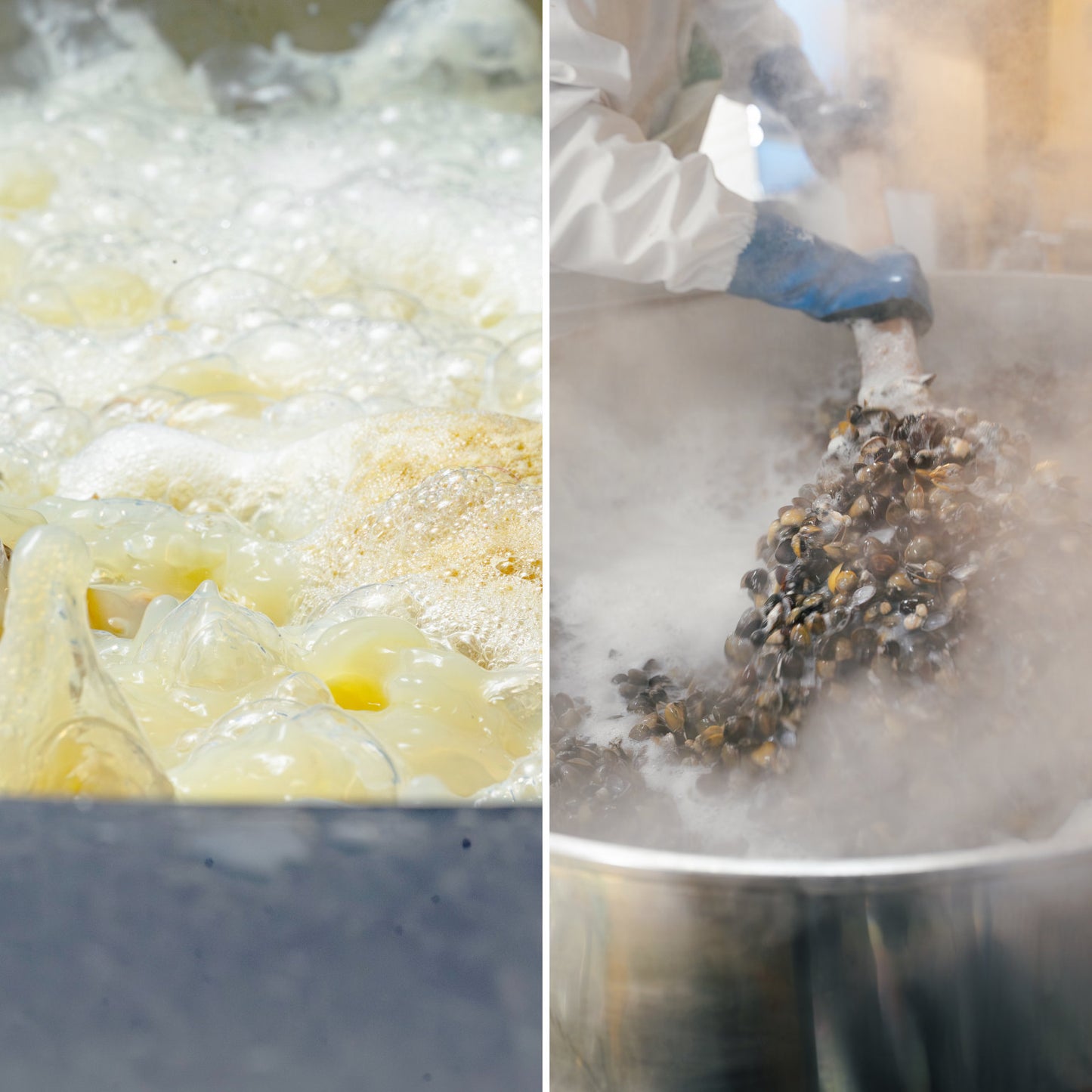 肝助(200粒入)_詳細