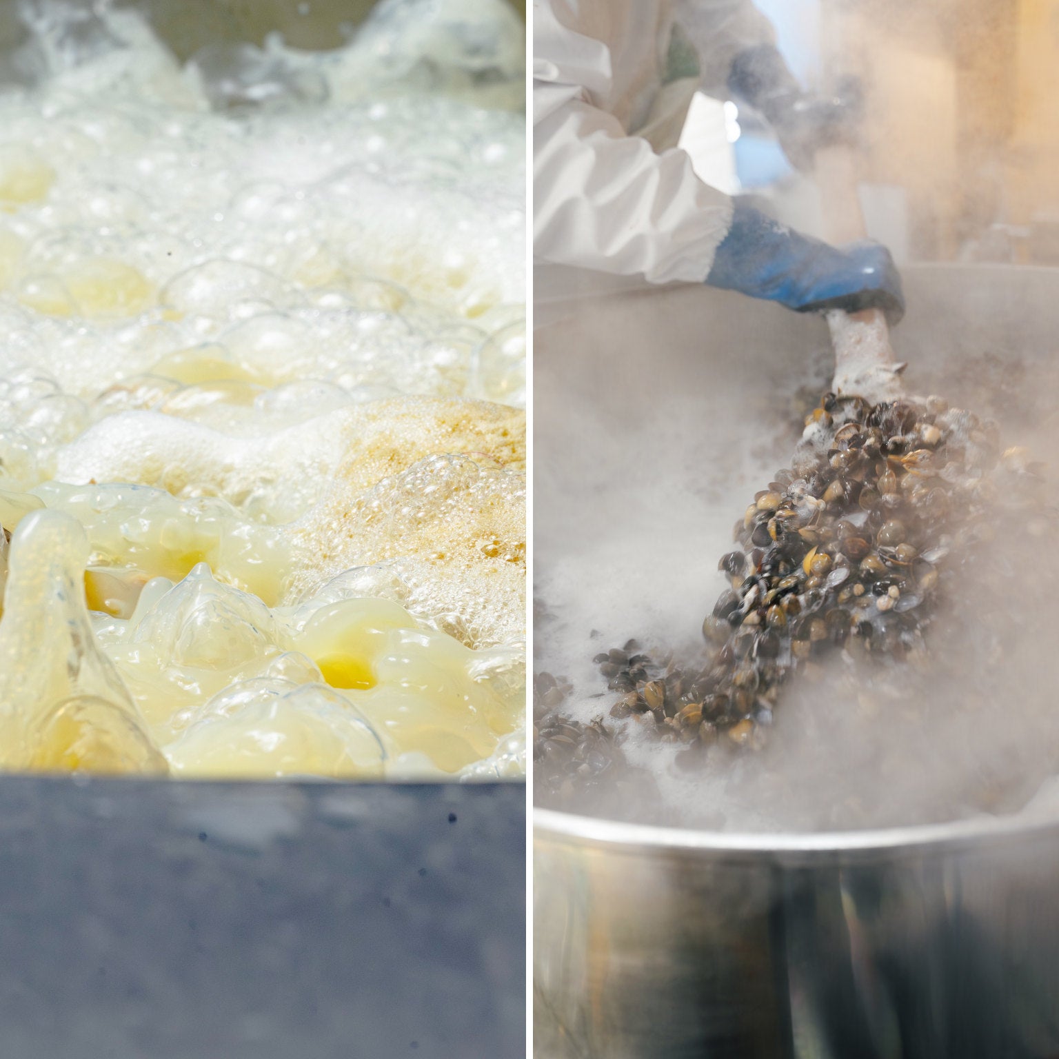 肝助(200粒入)_詳細