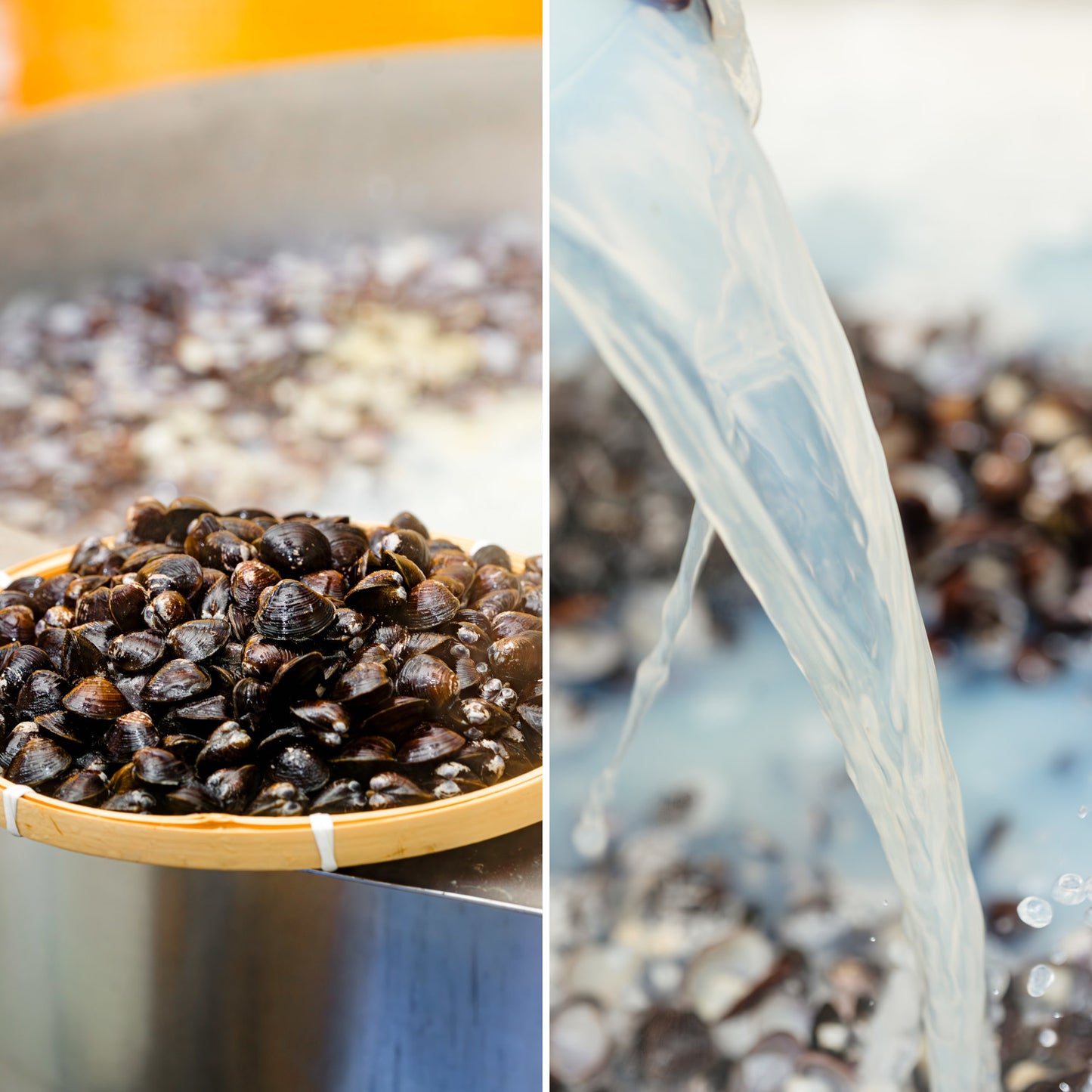 肝助(200粒入)_詳細