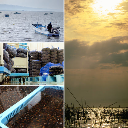 肝助(200粒入)_詳細