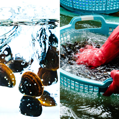 肝助(200粒入)_詳細