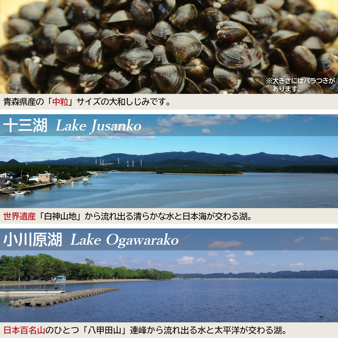 しじみ中粒130g入_詳細