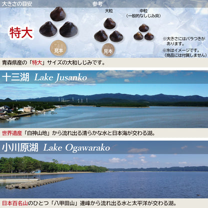 しじみ特大180g入_詳細