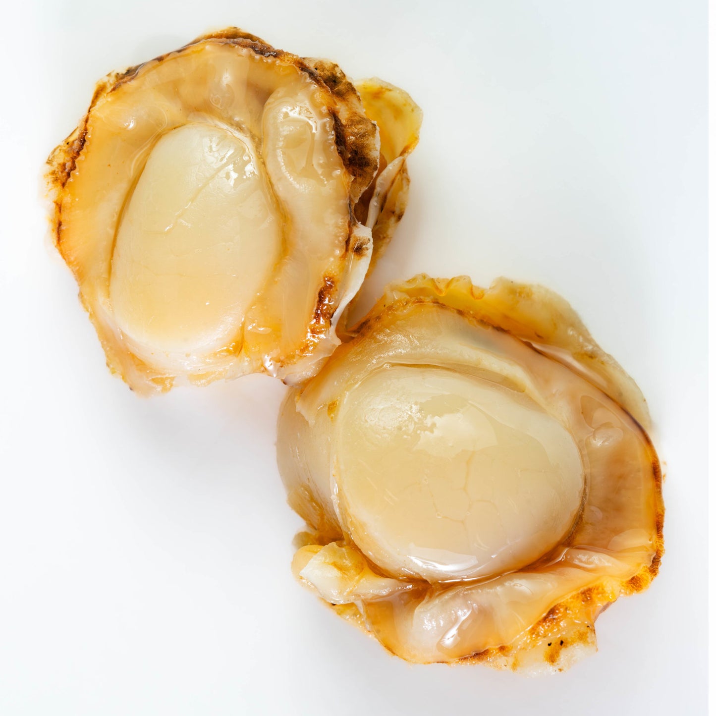 大和しじみ汁(特大)・ほたてみそ汁こだわり15食セット_詳細