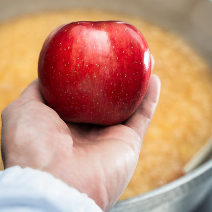 青森りんごジャム(紅玉)_詳細