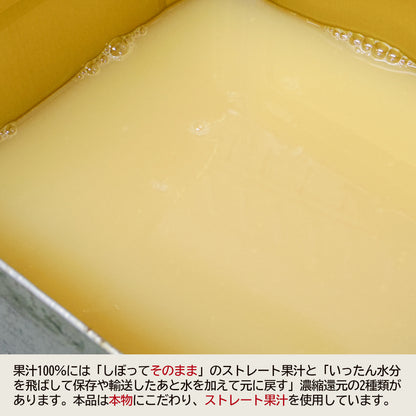 青森県産りんごジュレ_詳細