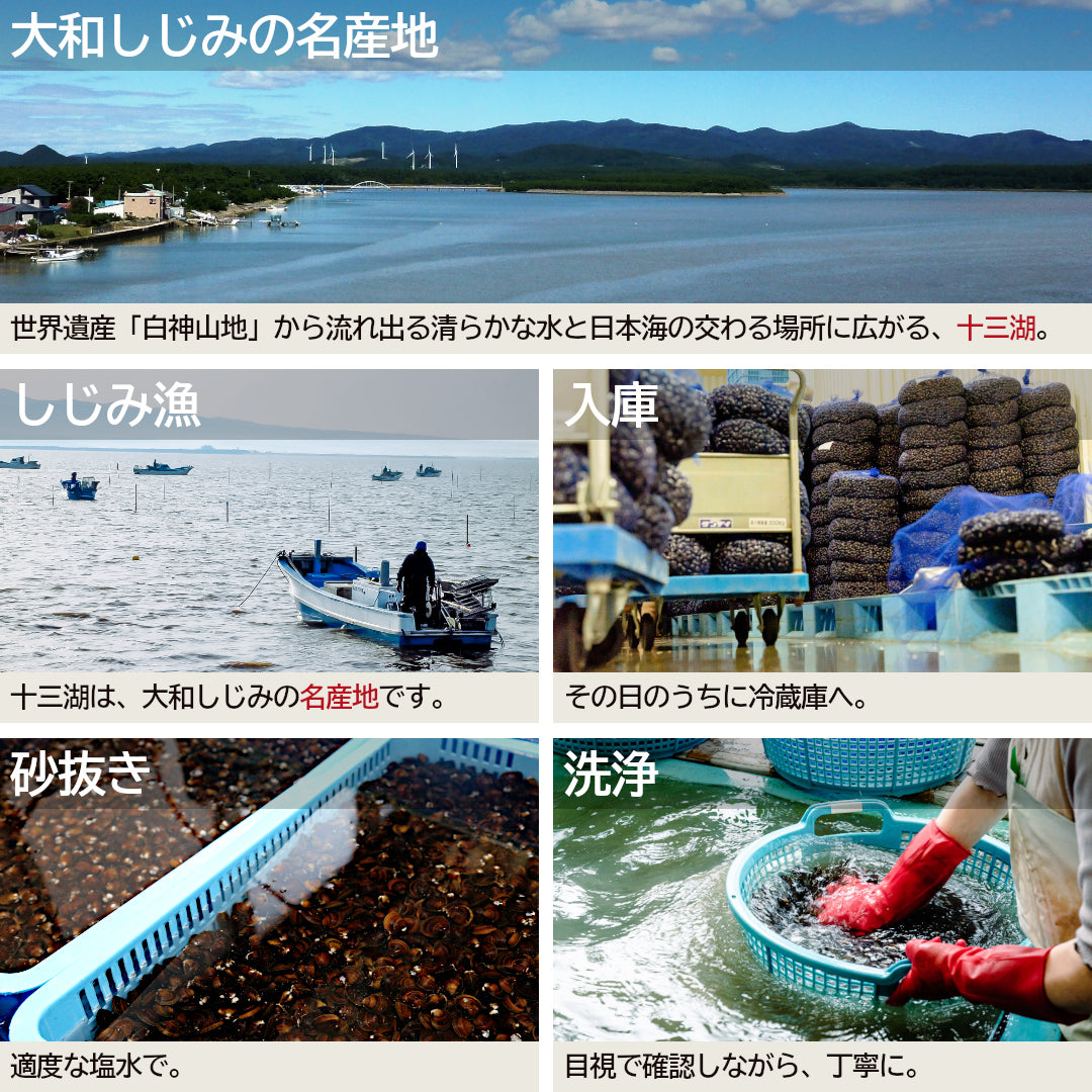 冷凍しじみ共通のしじみの産地から洗浄までの作業工程写真
