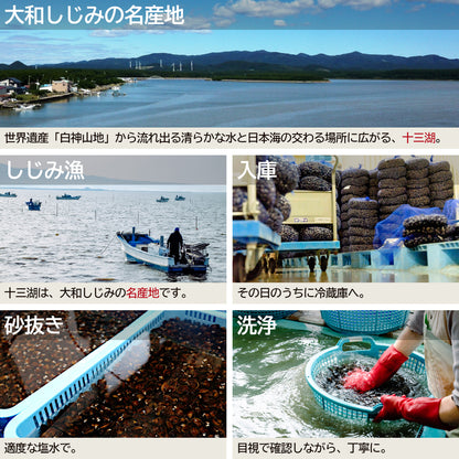 冷凍しじみ共通のしじみの産地から洗浄までの作業工程写真