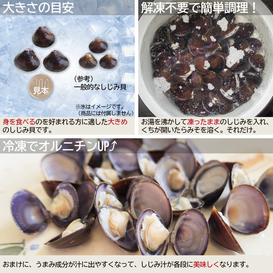 冷凍しじみMサイズの参考サイズと身のイメージ写真です。