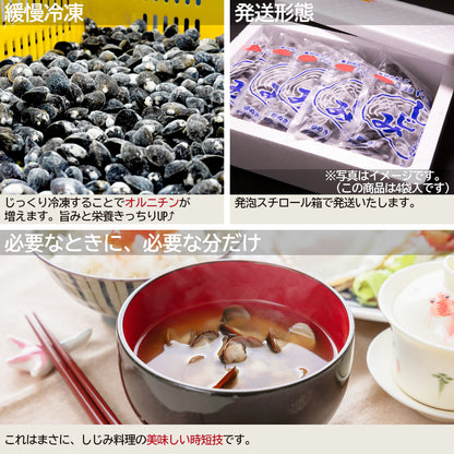 冷凍しじみMサイズの発送形態
