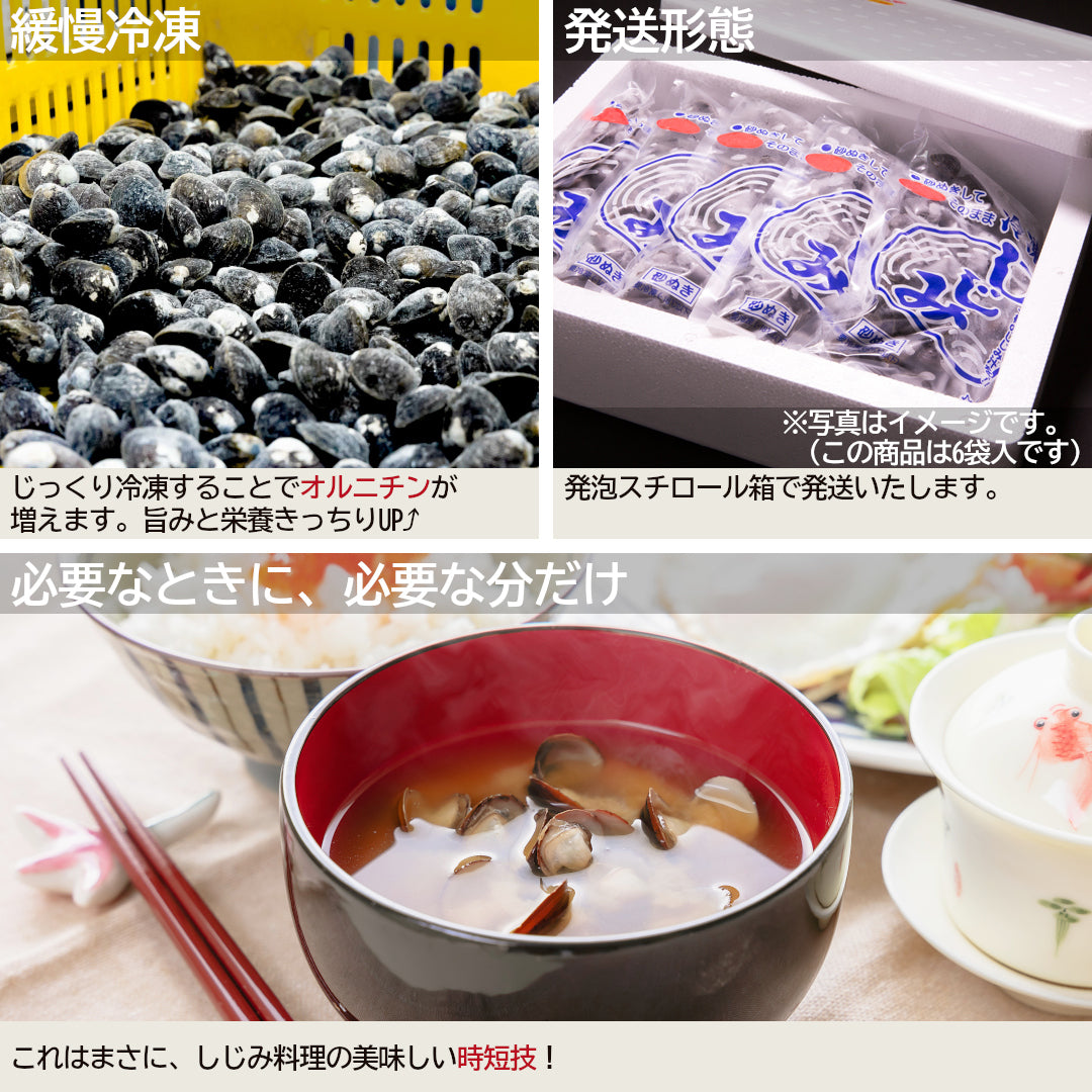 冷凍しじみSサイズの発送形態