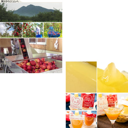 ギフト_青森りんごジュレ_詳細画像