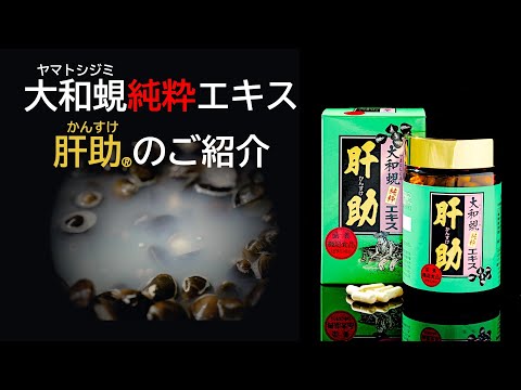 動画 肝助(純粋タイプ)のご紹介