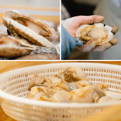 ほたて調理セット_詳細