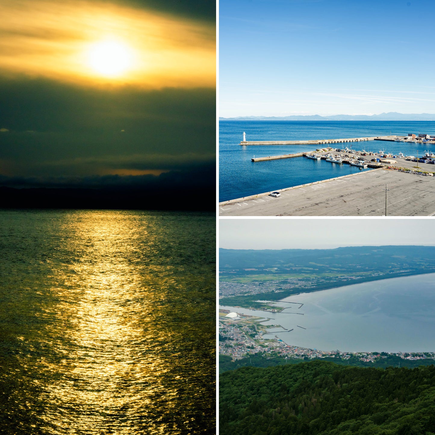 ほたてみそ汁(共通)_詳細