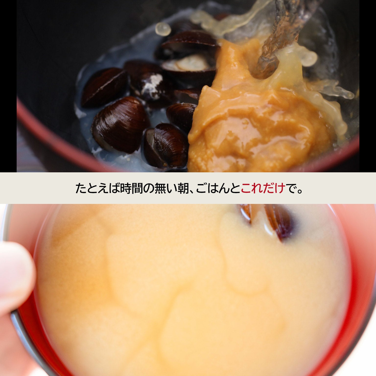 青森県産 大和しじみ汁(8食入)｜しじみちゃん本舗(公式) – 肝助の