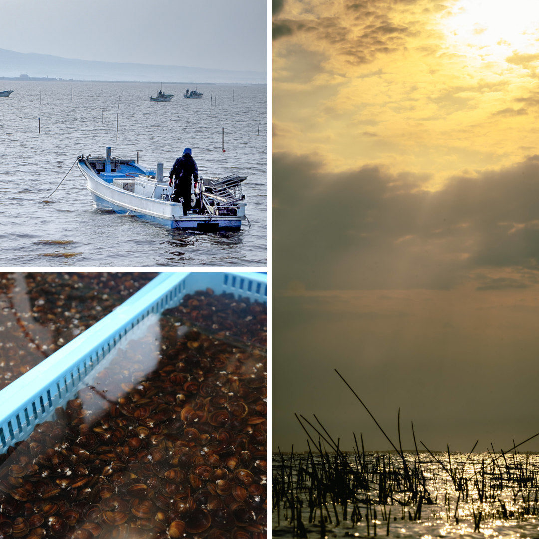 青森県産 大和しじみ汁(8食入) – 肝助のしじみちゃん本舗 -公式ショップ-